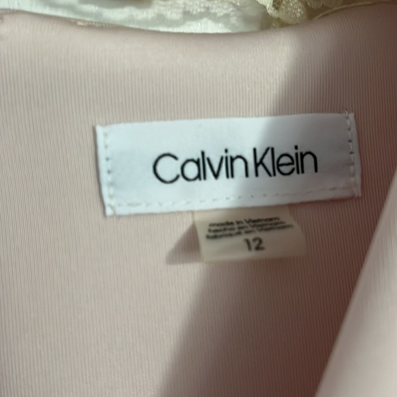 Blush Pink Cocktail Dress by Calvin Klein - Picture 6 of 6